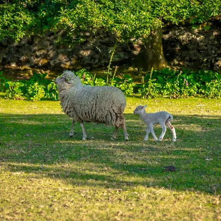 בית חווה Convento San Payo