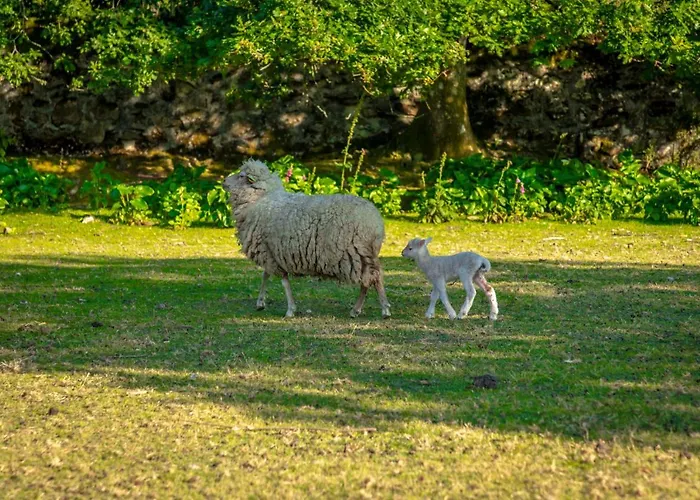 Séjour à la ferme Convento San Payo